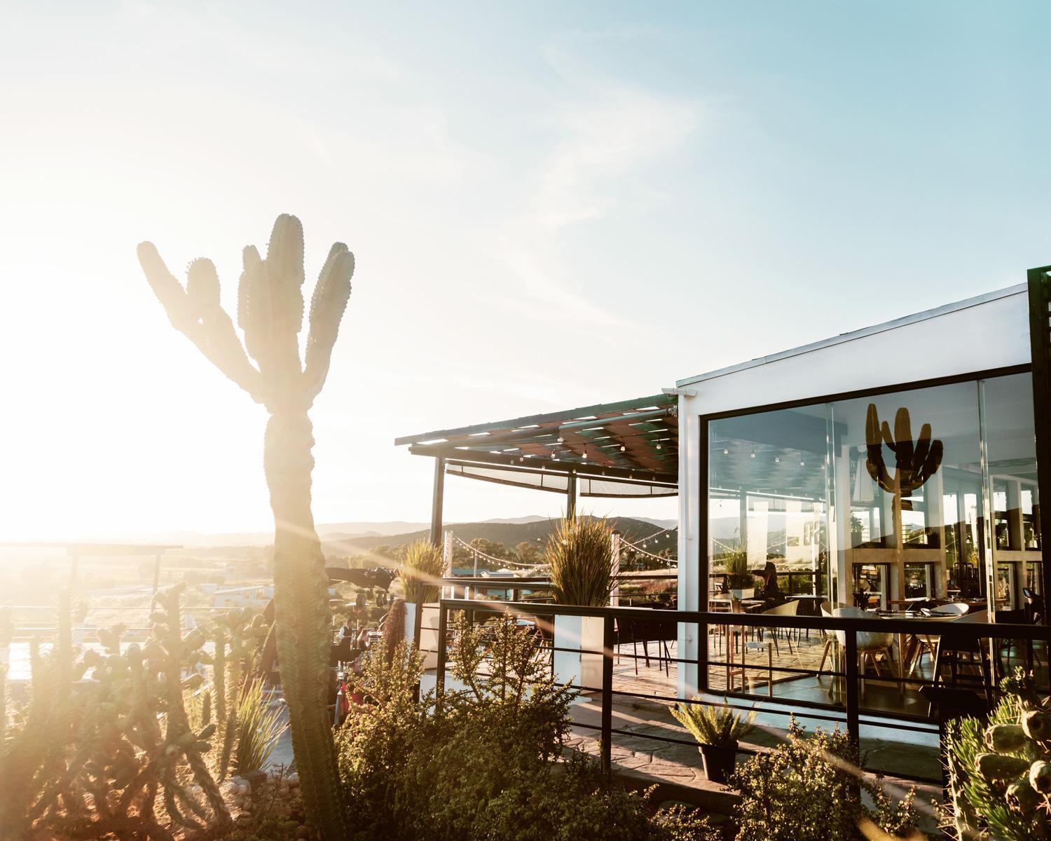 La Cima Del Valle Guadalupe Eksteriør billede