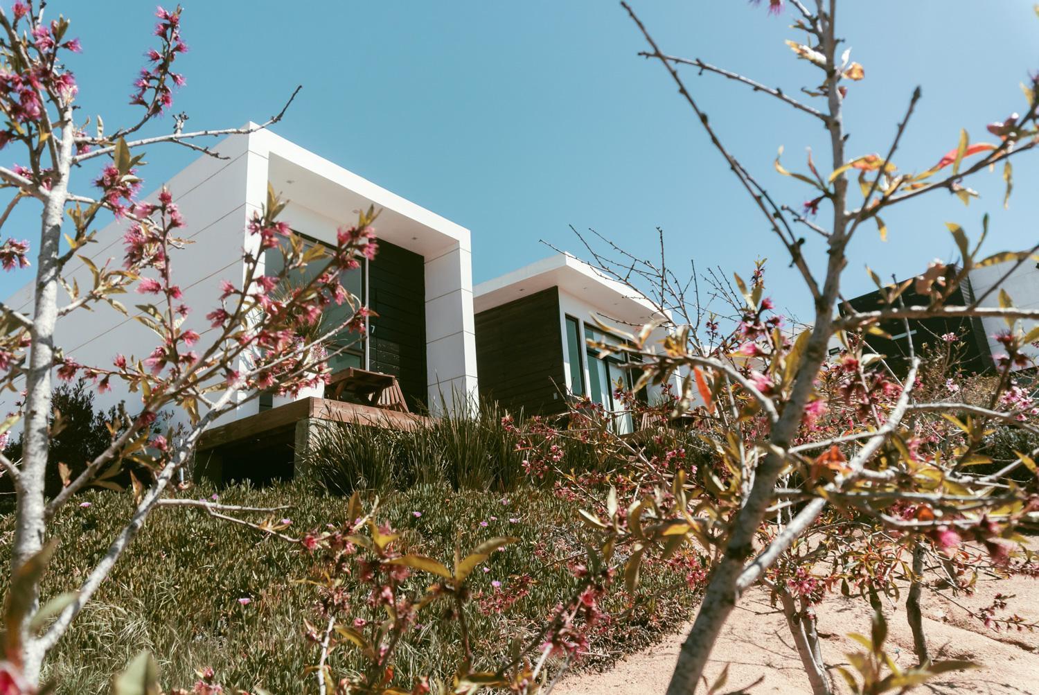 La Cima Del Valle Guadalupe Eksteriør billede